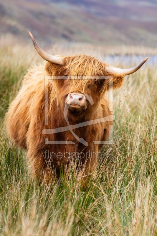 frei w&auml;hlbarer Bildausschnitt f&uuml;r Ihr Bild auf Label