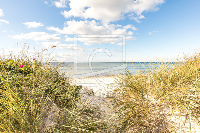 frei w&auml;hlbarer Bildausschnitt f&uuml;r Ihr Bild auf Label