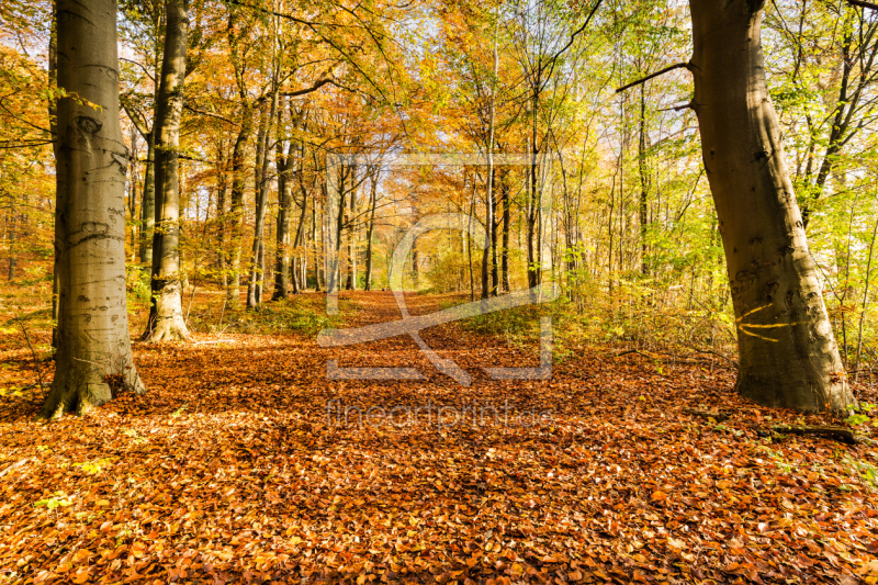 frei w&auml;hlbarer Bildausschnitt f&uuml;r Ihr Bild auf Label