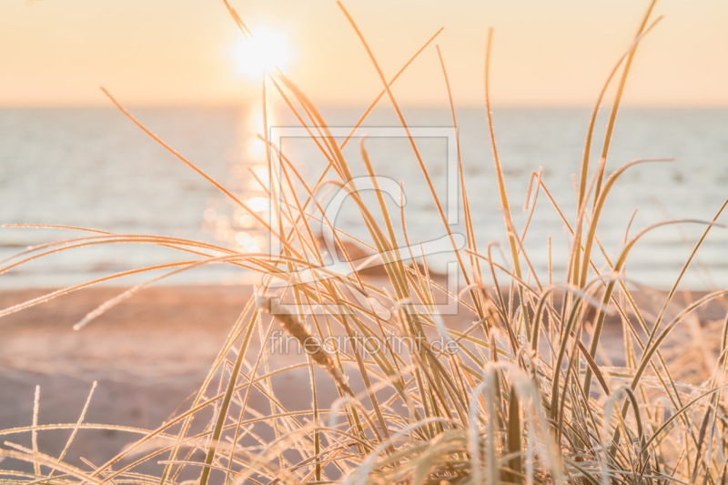 frei wählbarer Bildausschnitt für Ihr Bild auf Label