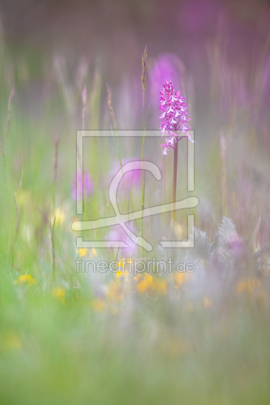 frei w&auml;hlbarer Bildausschnitt f&uuml;r Ihr Bild auf Label