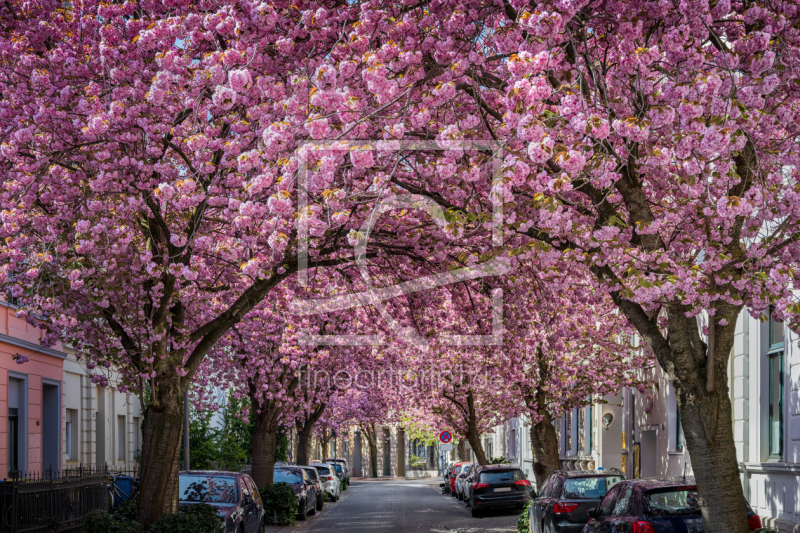 frei w&auml;hlbarer Bildausschnitt f&uuml;r Ihr Bild auf Label