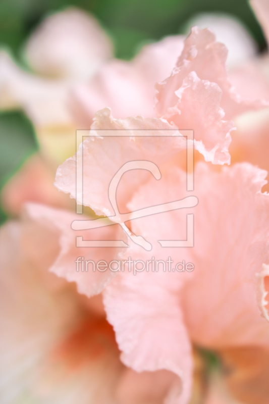 frei w&auml;hlbarer Bildausschnitt f&uuml;r Ihr Bild auf Label