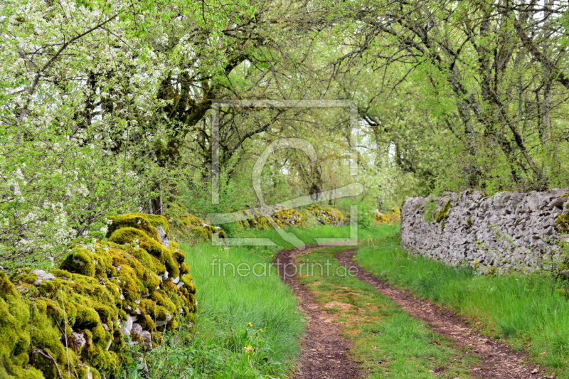 frei wählbarer Bildausschnitt für Ihr Bild auf Label
