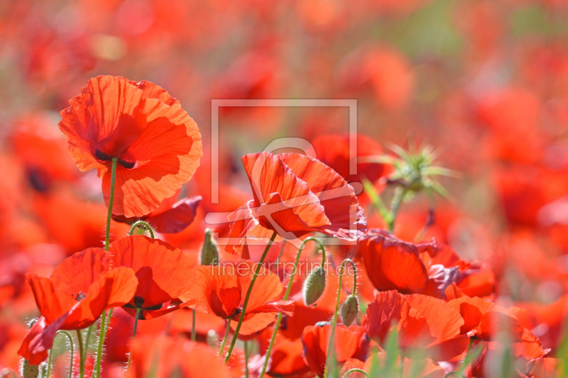 frei w&auml;hlbarer Bildausschnitt f&uuml;r Ihr Bild auf Label