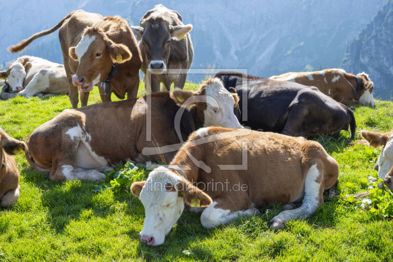 frei wählbarer Bildausschnitt für Ihr Bild auf Label