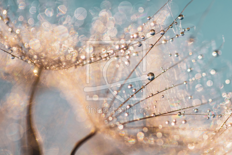 frei w&auml;hlbarer Bildausschnitt f&uuml;r Ihr Bild auf Label