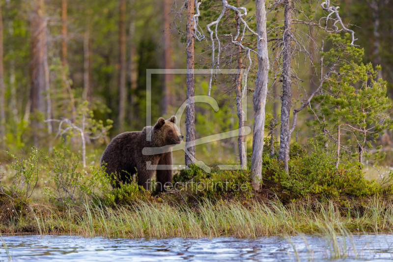 frei w&auml;hlbarer Bildausschnitt f&uuml;r Ihr Bild auf Label