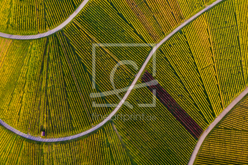 frei wählbarer Bildausschnitt für Ihr Bild auf Label