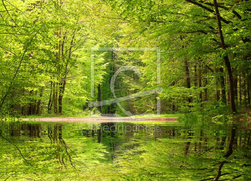 frei w&auml;hlbarer Bildausschnitt f&uuml;r Ihr Bild auf Label