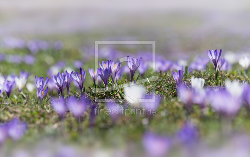 frei w&auml;hlbarer Bildausschnitt f&uuml;r Ihr Bild auf Label