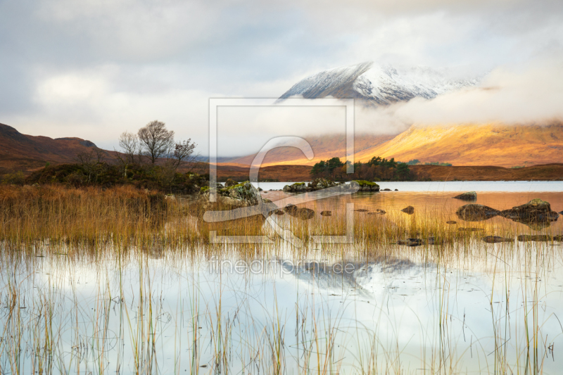 frei w&auml;hlbarer Bildausschnitt f&uuml;r Ihr Bild auf Label