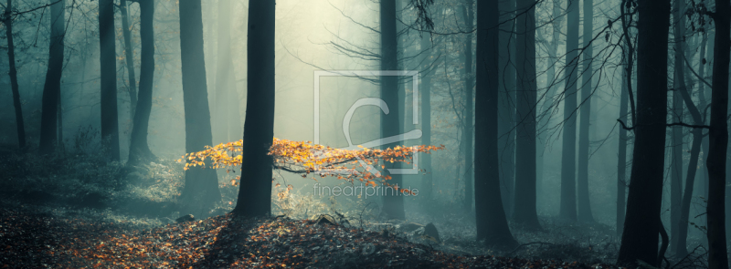 frei wählbarer Bildausschnitt für Ihr Bild auf Label