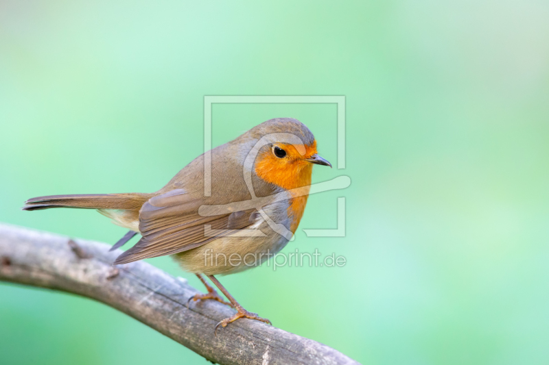 frei w&auml;hlbarer Bildausschnitt f&uuml;r Ihr Bild auf Label