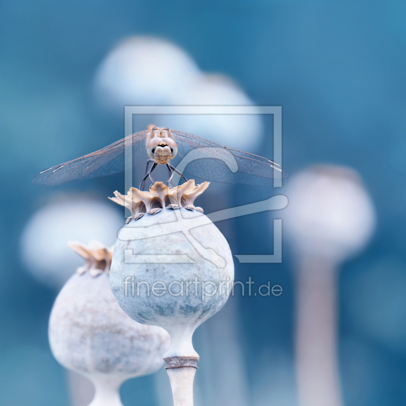 frei w&auml;hlbarer Bildausschnitt f&uuml;r Ihr Bild auf Label