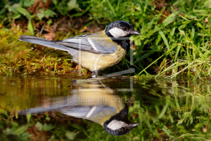 frei w&auml;hlbarer Bildausschnitt f&uuml;r Ihr Bild auf Label