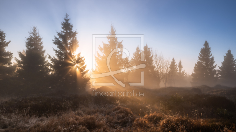 frei w&auml;hlbarer Bildausschnitt f&uuml;r Ihr Bild auf Label