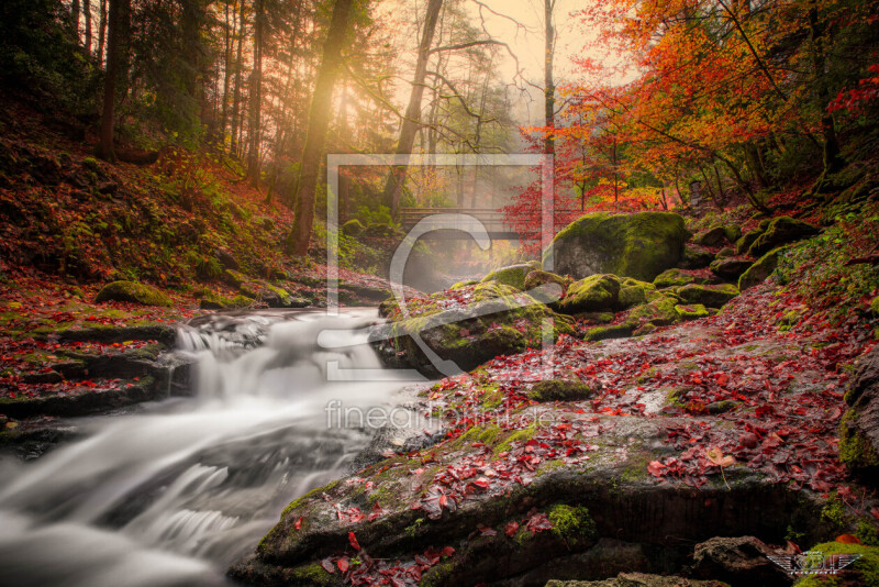 frei w&auml;hlbarer Bildausschnitt f&uuml;r Ihr Bild auf Label