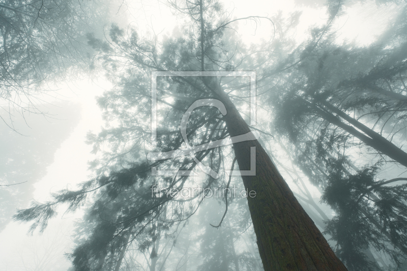 frei w&auml;hlbarer Bildausschnitt f&uuml;r Ihr Bild auf Label