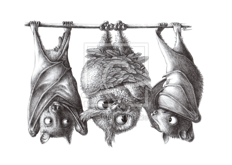 frei w&auml;hlbarer Bildausschnitt f&uuml;r Ihr Bild auf Label