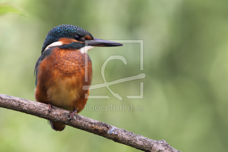 frei w&auml;hlbarer Bildausschnitt f&uuml;r Ihr Bild auf Label