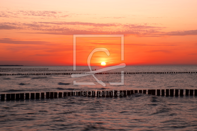 frei w&auml;hlbarer Bildausschnitt f&uuml;r Ihr Bild auf Label