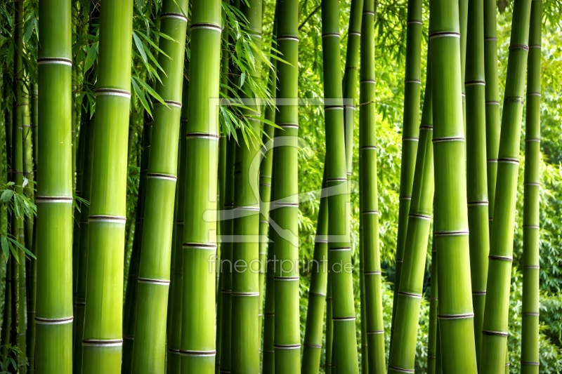 frei w&auml;hlbarer Bildausschnitt f&uuml;r Ihr Bild auf Label