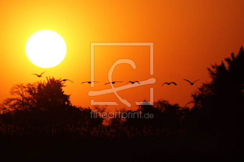 frei w&auml;hlbarer Bildausschnitt f&uuml;r Ihr Bild auf Label