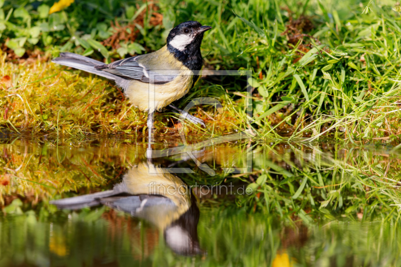 frei w&auml;hlbarer Bildausschnitt f&uuml;r Ihr Bild auf Label