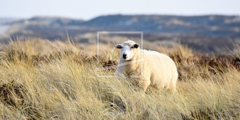 frei w&auml;hlbarer Bildausschnitt f&uuml;r Ihr Bild auf Label