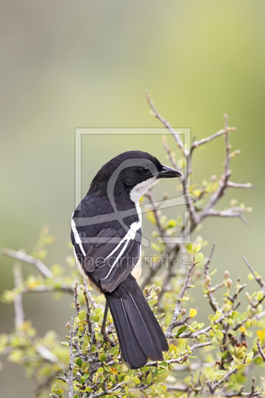frei w&auml;hlbarer Bildausschnitt f&uuml;r Ihr Bild auf Label