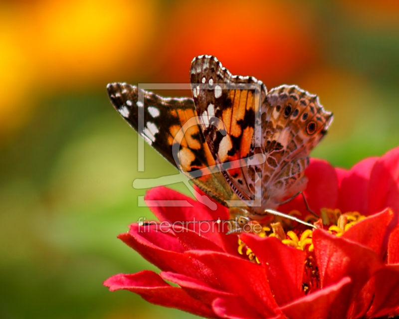 frei w&auml;hlbarer Bildausschnitt f&uuml;r Ihr Bild auf Label