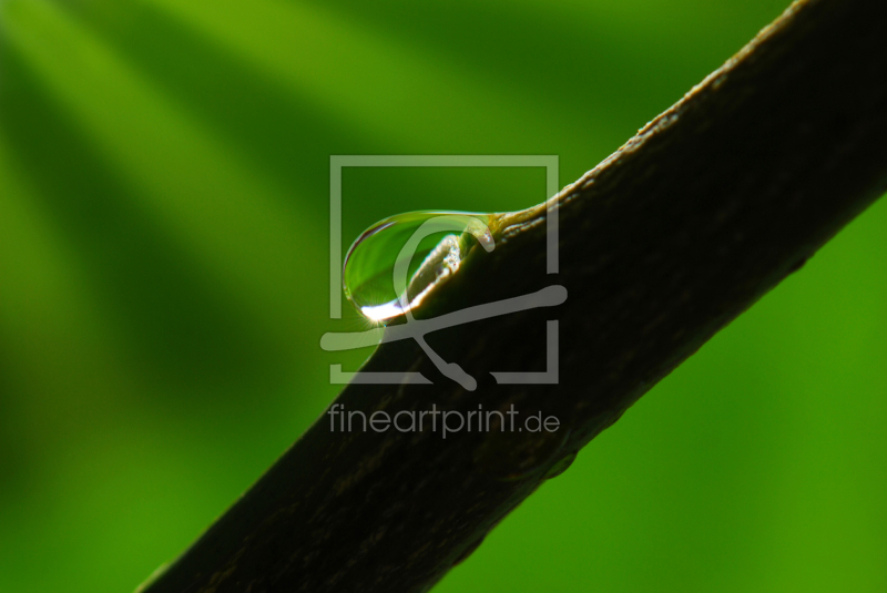 frei w&auml;hlbarer Bildausschnitt f&uuml;r Ihr Bild auf Label