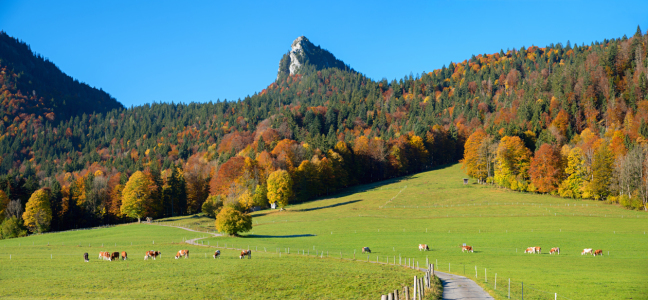 Bild-Nr: 12910612 Herbstlandschaft am Leonhardstein Erstellt von: SusaZoom