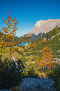 Bild-Nr: 12938037 Herbstlandschaft Ehrwald mit Zugspitze Erstellt von: SusaZoom