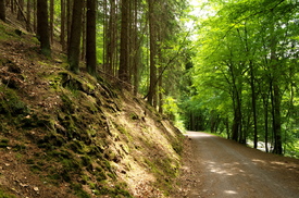 /leinwand/bigthumb/11534286.jpg