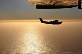 Flug in die Abendsonne - 11672394 /leinwand/bigthumb/11672394.jpg