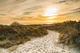 Stranddünen in der Abendsonne - 12563966 /leinwand/bigthumb/12563966.jpg