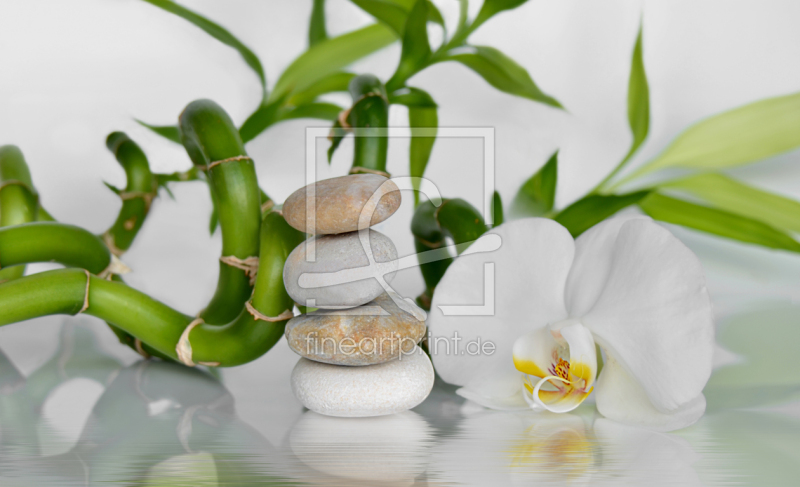 frei wählbarer Bildausschnitt für Ihr Bild auf Leinwand