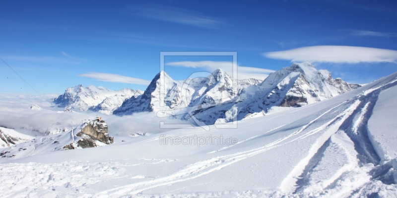 frei wählbarer Bildausschnitt für Ihr Bild auf Leinwand