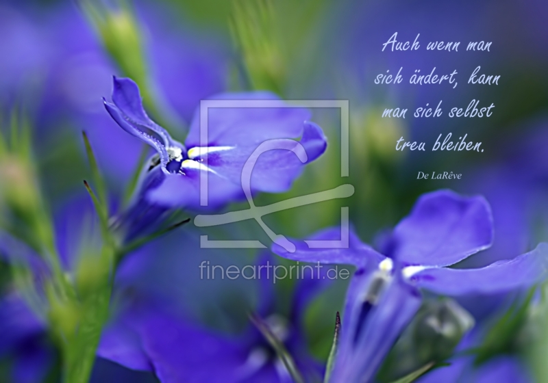 frei wählbarer Bildausschnitt für Ihr Bild auf Leinwand