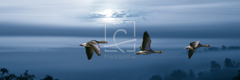 frei wählbarer Bildausschnitt für Ihr Bild auf Leinwand