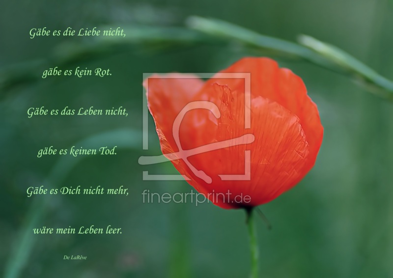 frei wählbarer Bildausschnitt für Ihr Bild auf Leinwand