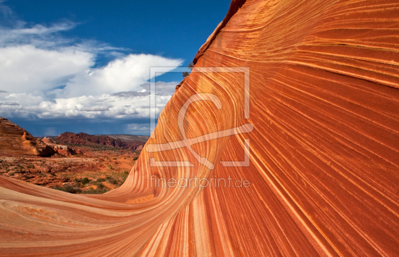 frei wählbarer Bildausschnitt für Ihr Bild auf Leinwand