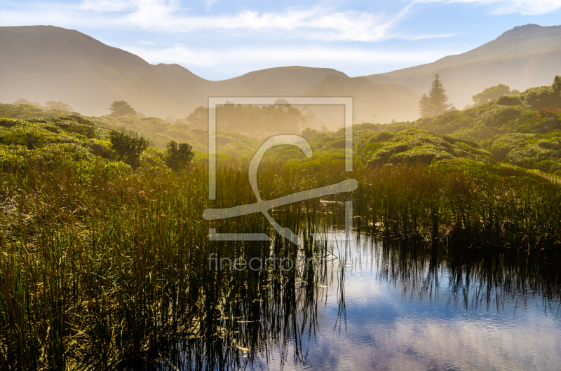 frei wählbarer Bildausschnitt für Ihr Bild auf Leinwand