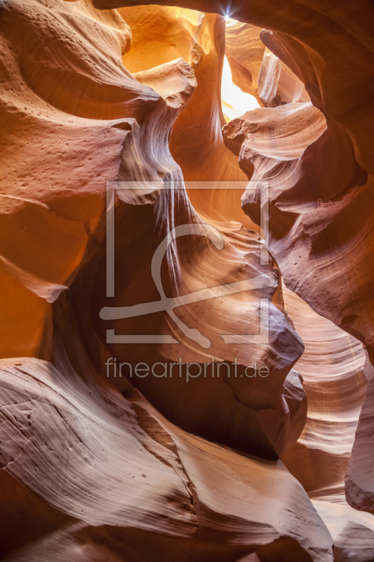 frei wählbarer Bildausschnitt für Ihr Bild auf Leinwand