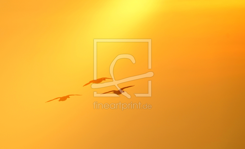 frei wählbarer Bildausschnitt für Ihr Bild auf Leinwand