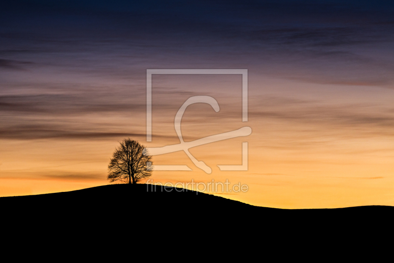 frei wählbarer Bildausschnitt für Ihr Bild auf Leinwand