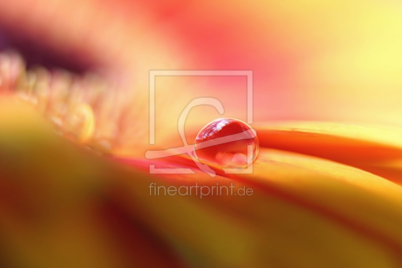 frei wählbarer Bildausschnitt für Ihr Bild auf Leinwand