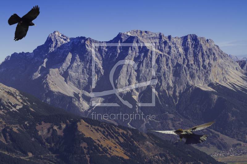 frei wählbarer Bildausschnitt für Ihr Bild auf Leinwand